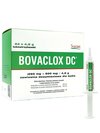 Bovaclox DC, (250 mg + 500 mg)/4,5 g