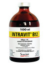 INTRAVIT B12 500µg/ml