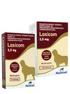 Loxicom 1 mg, 2,5 mg tabletki do rozgryzania i  żucia dla psów